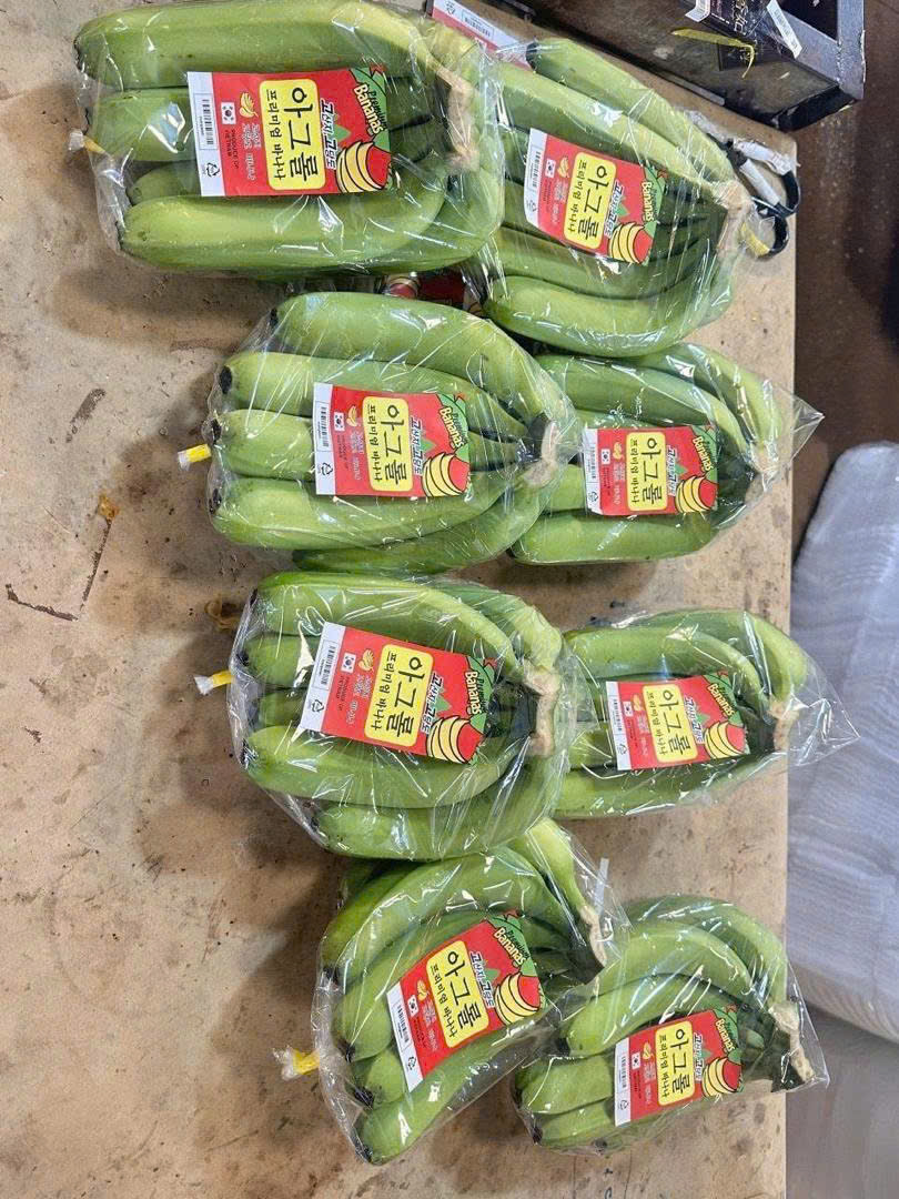 Cavendish Banana preview